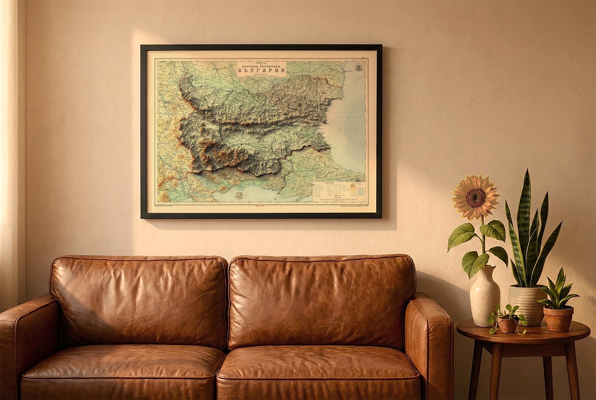 Bulgaria vintage relief map in a black frame above a brown leather sofa. Boho living room with warm sunlight, sunflower, and indoor plants on a wooden side table