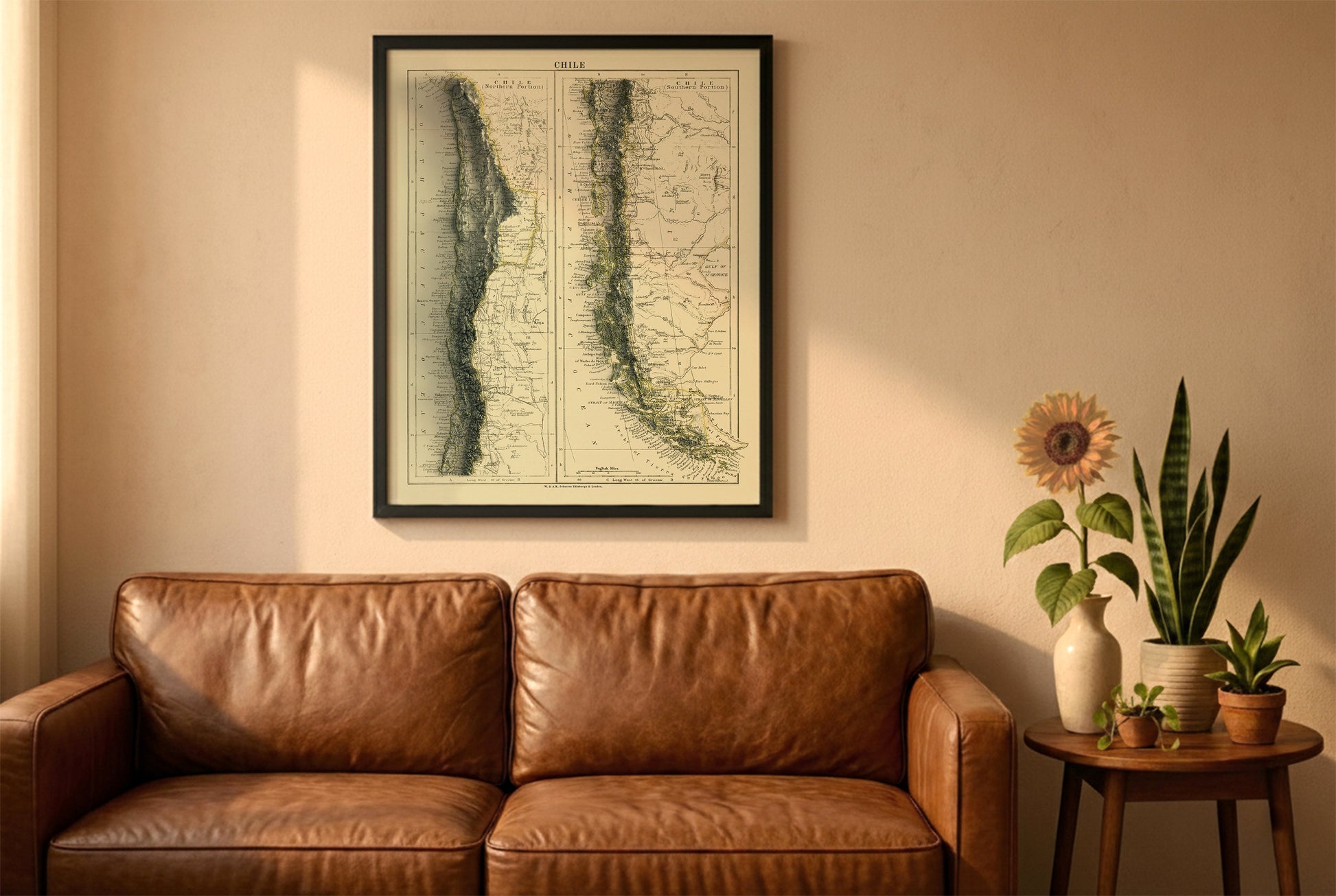 Chile vintage relief map in a black frame above a brown leather sofa. Boho living room with warm sunlight, sunflower, and indoor plants on a wooden side table