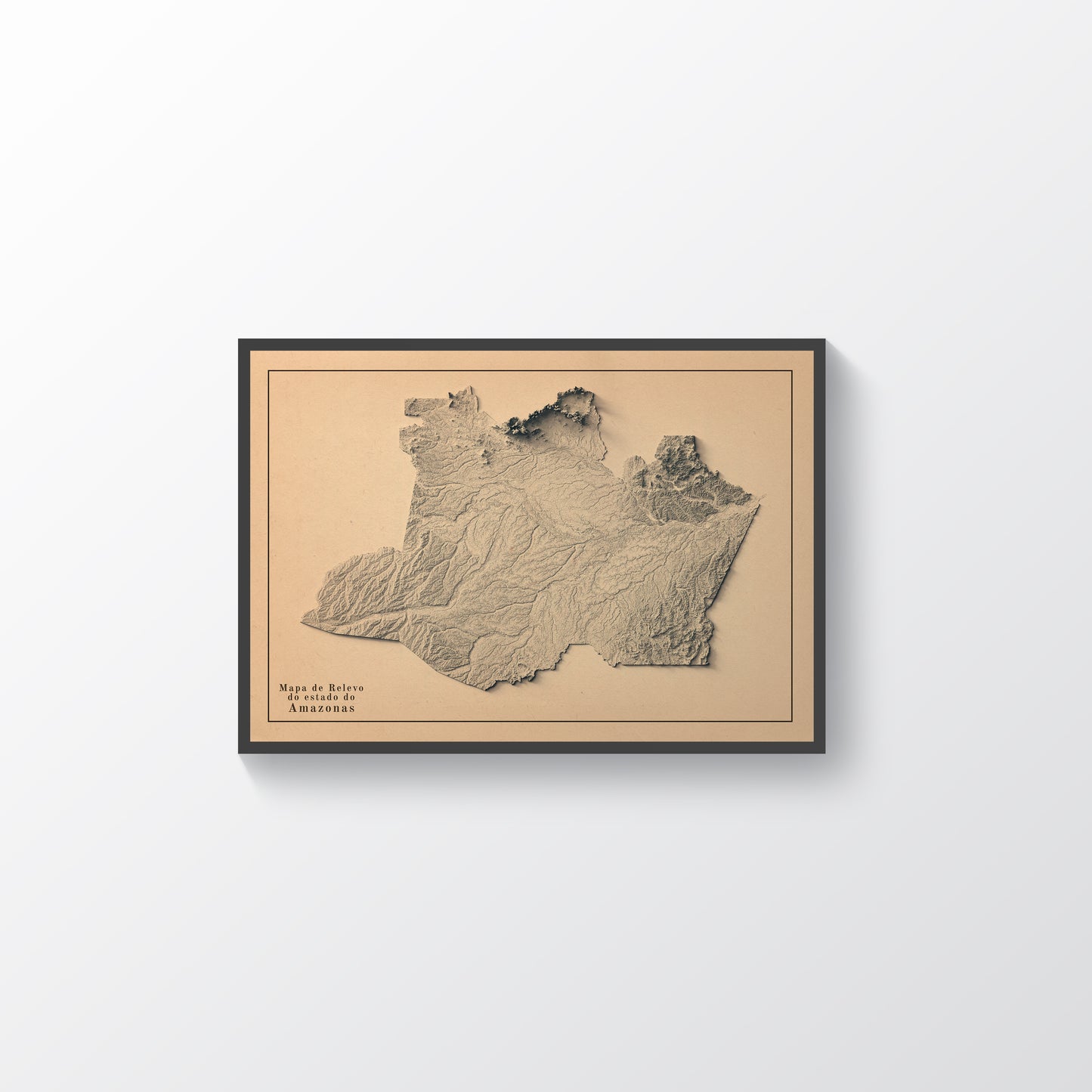 vintage shaded relief map of Amazonas State, Brazil