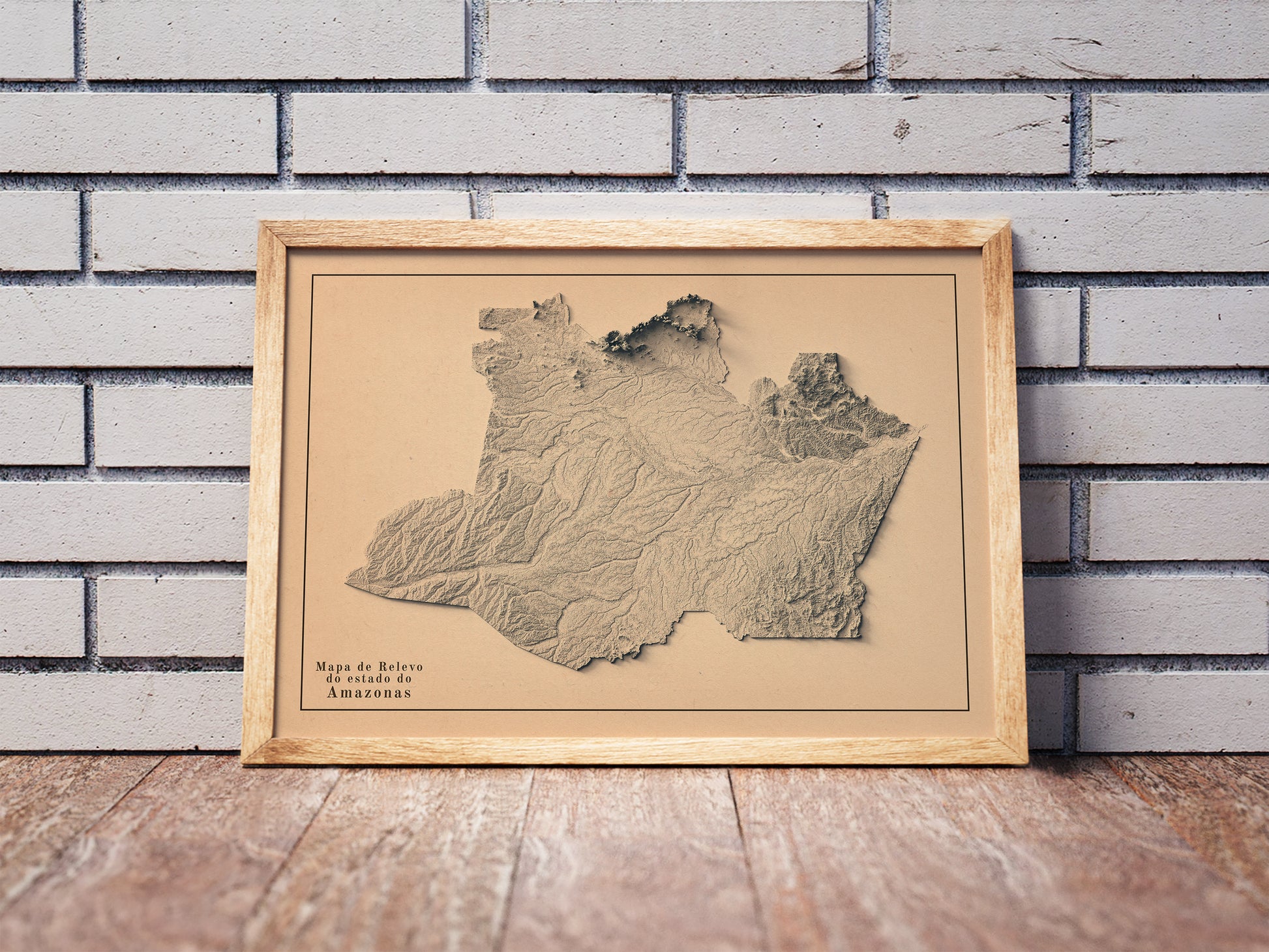 vintage shaded relief map of Amazonas State, Brazil