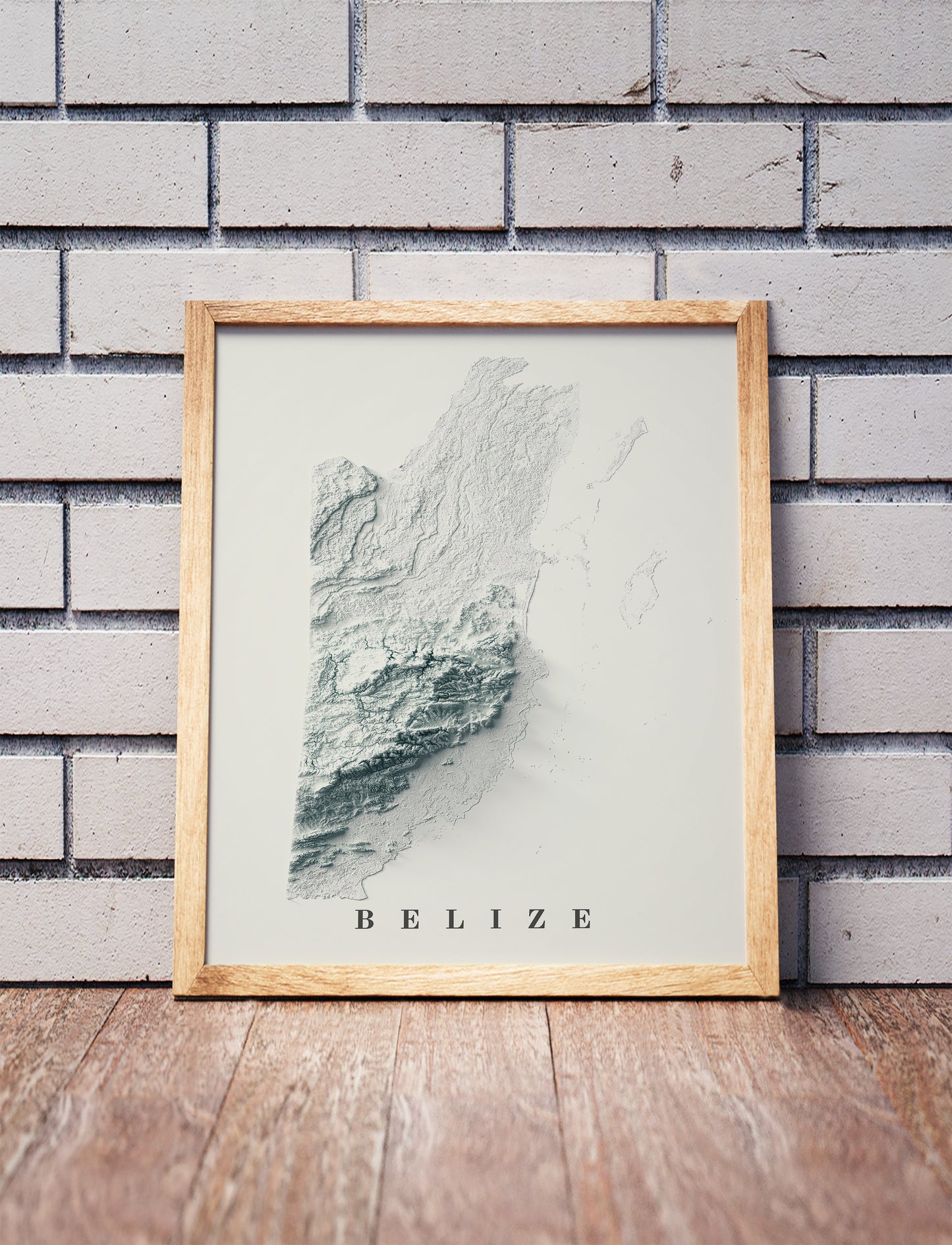 vintage shaded relief map of Belize