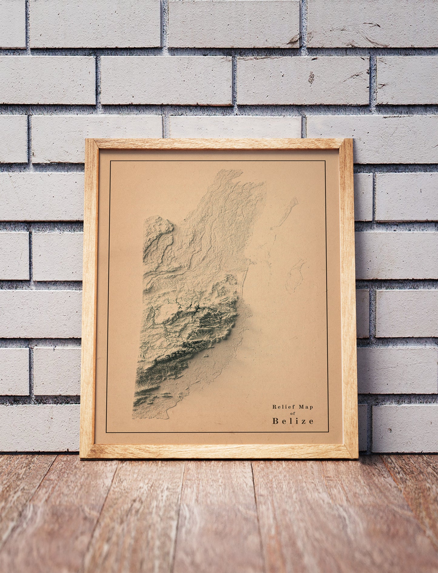 vintage shaded relief map of Belize