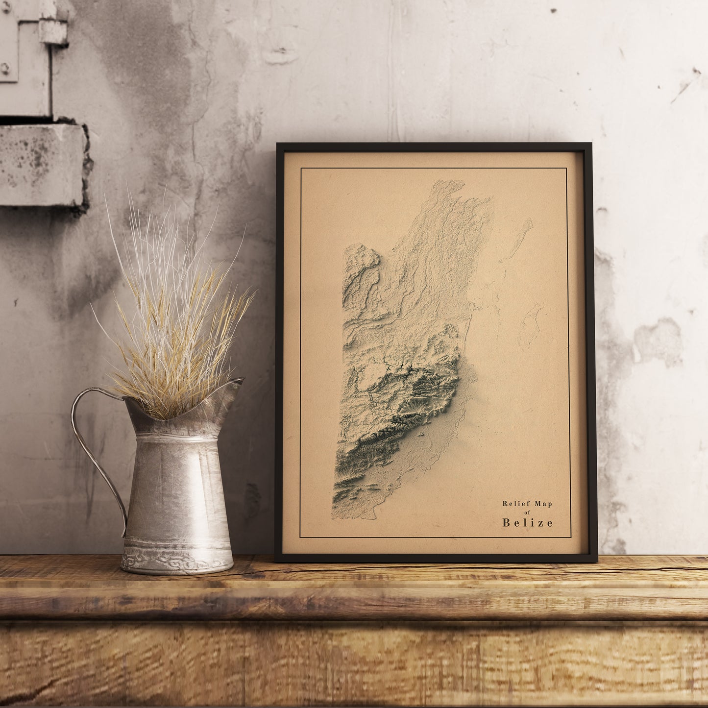 vintage shaded relief map of Belize