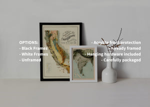 Image showing a framed relief map of California with black frames and a smaller relief map of India with white frames. Also a text showing some characteristics of the maps is observed.