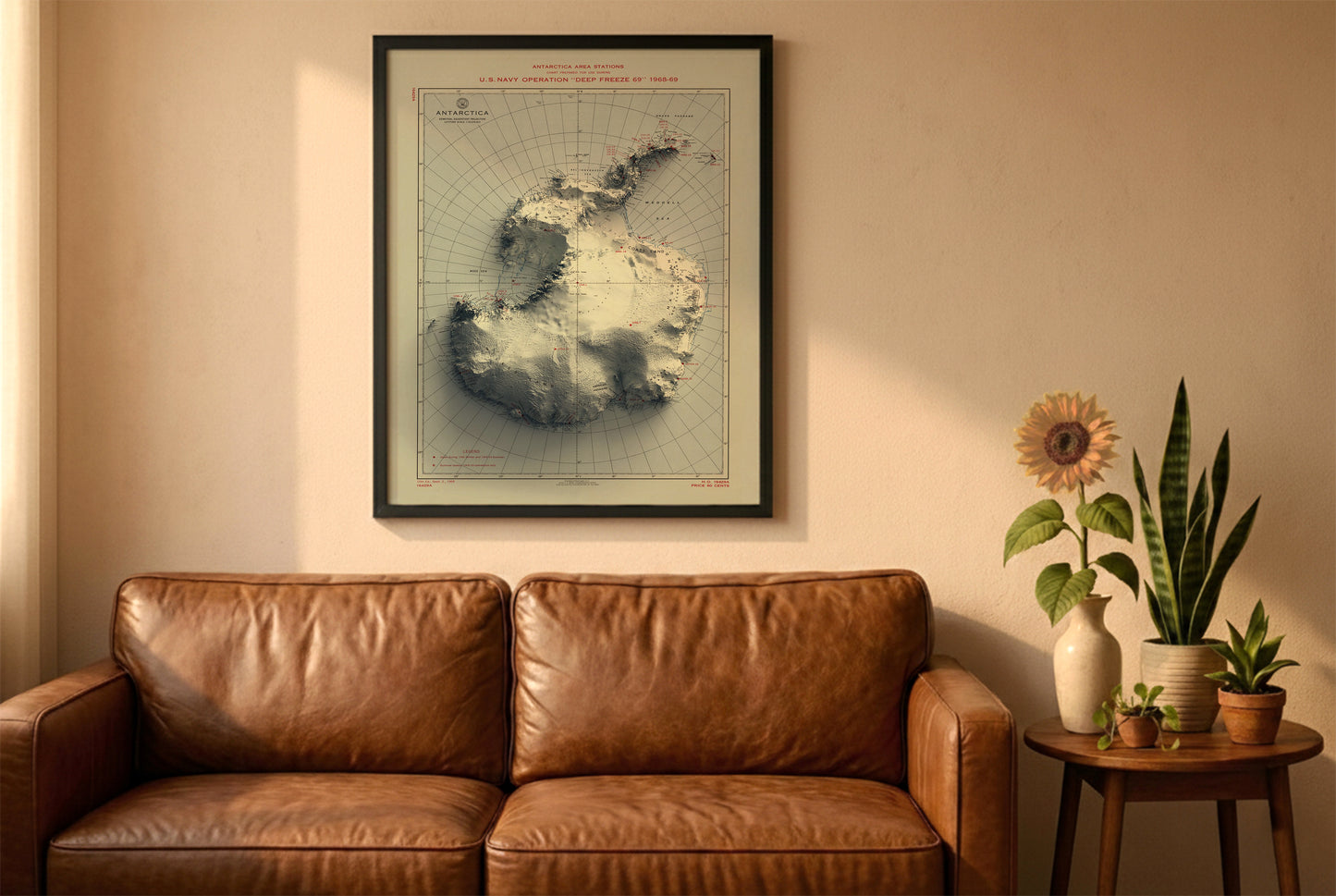 Antarctica vintage relief map in a black frame above a brown leather sofa. Boho living room with warm sunlight, sunflower, and indoor plants on a wooden side table
