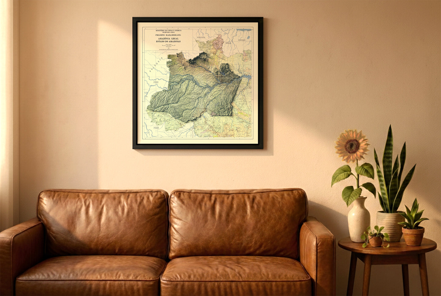 Amazonas state, Brazil, vintage relief map in a black frame above a brown leather sofa. Boho living room with warm sunlight, sunflower, and indoor plants on a wooden side table