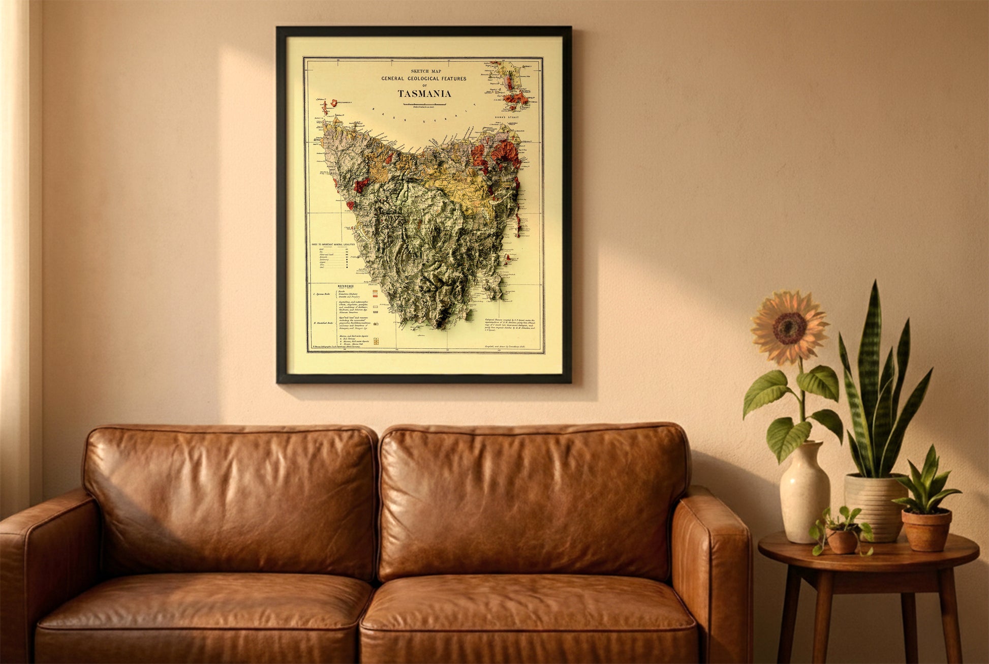 Tasmania vintage relief map in a black frame above a brown leather sofa. Boho living room with warm sunlight, sunflower, and indoor plants on a wooden side table