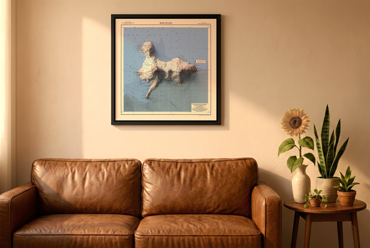 Ross Island, Antarctica, vintage relief map in a black frame above a brown leather sofa. Boho living room with warm sunlight, sunflower, and indoor plants on a wooden side table
