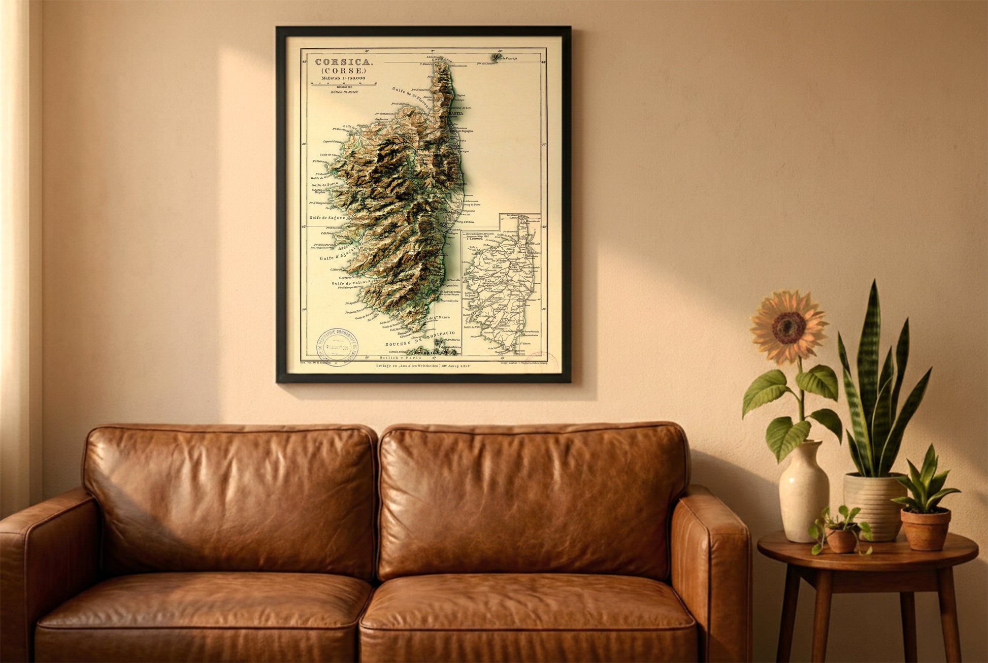 Corsica Corse vintage relief map in a black frame above a brown leather sofa. Boho living room with warm sunlight, sunflower, and indoor plants on a wooden side table