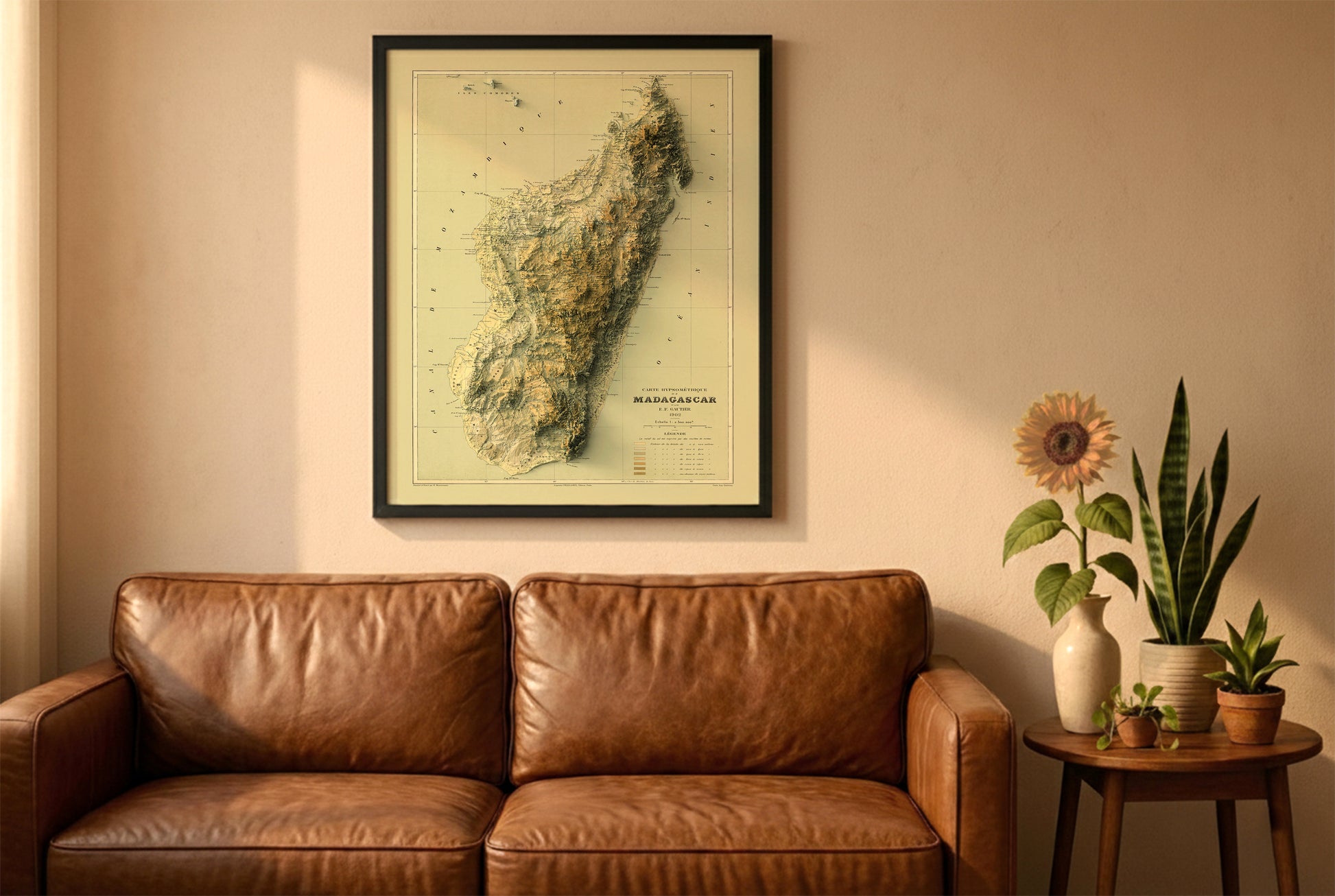 Madagascar vintage relief map in a black frame above a brown leather sofa. Boho living room with warm sunlight, sunflower, and indoor plants on a wooden side table