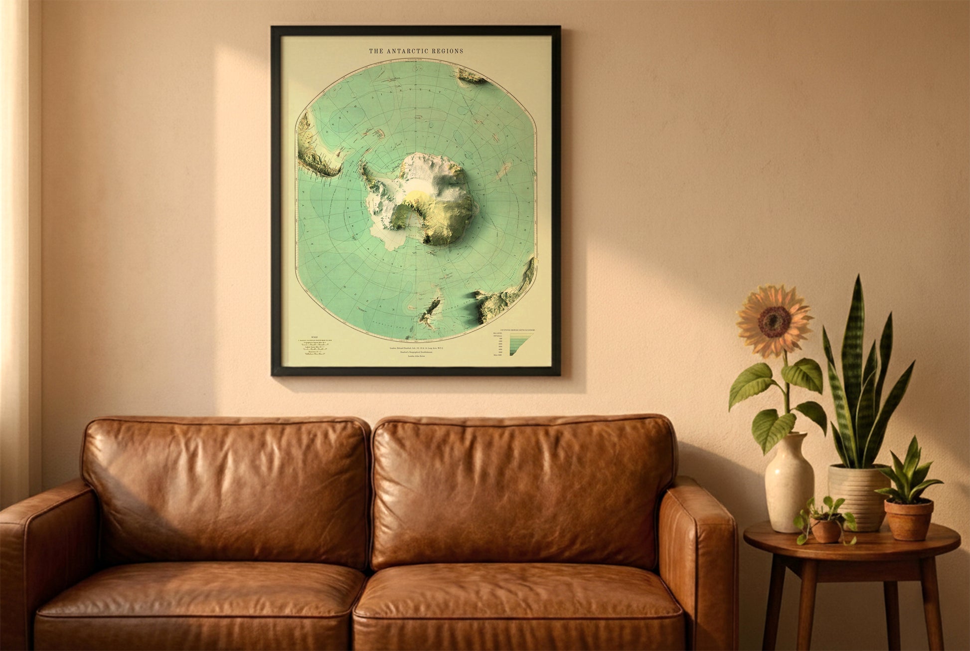 Antarctica vintage relief map in a black frame above a brown leather sofa. Boho living room with warm sunlight, sunflower, and indoor plants on a wooden side table