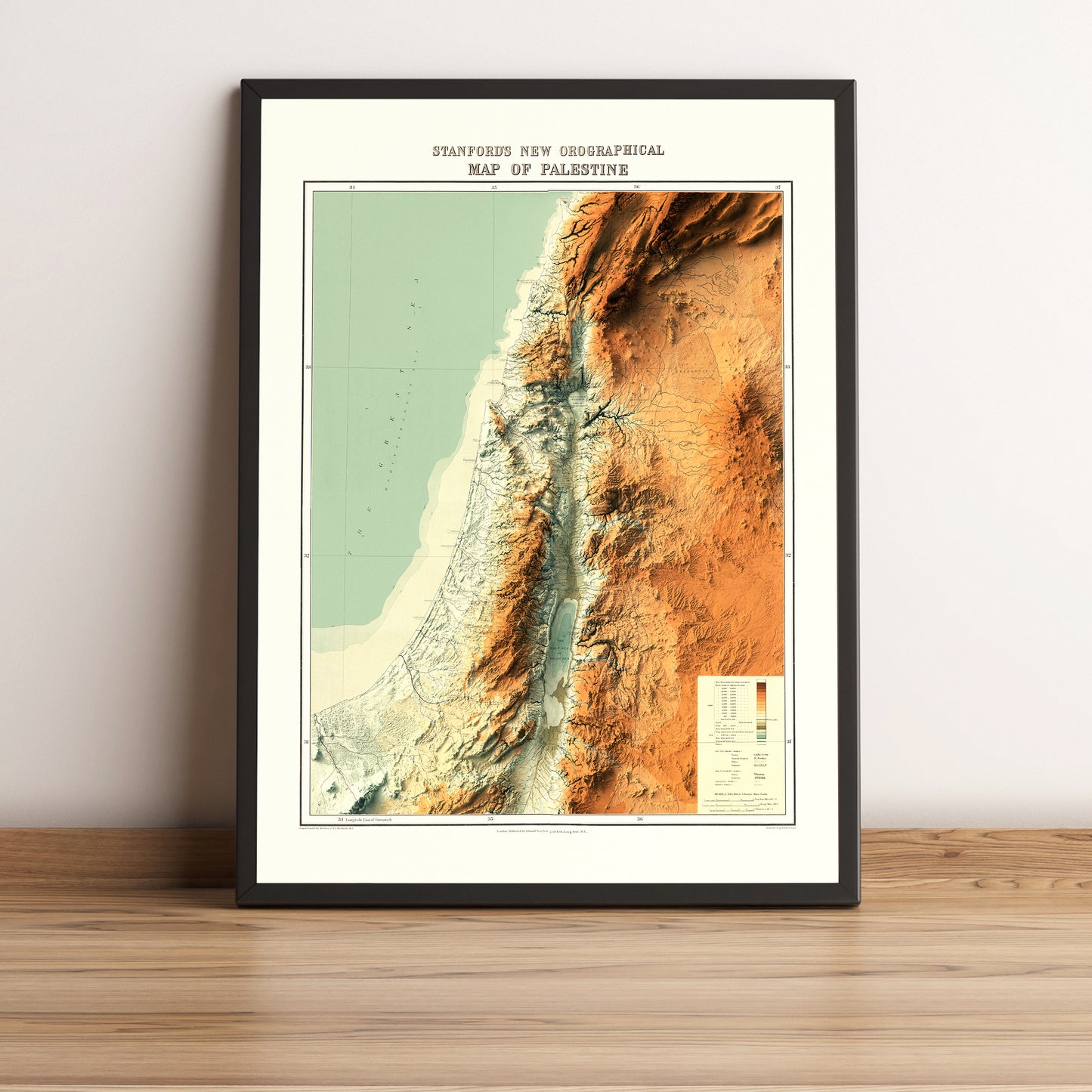 vintage shaded releif map of Palestine