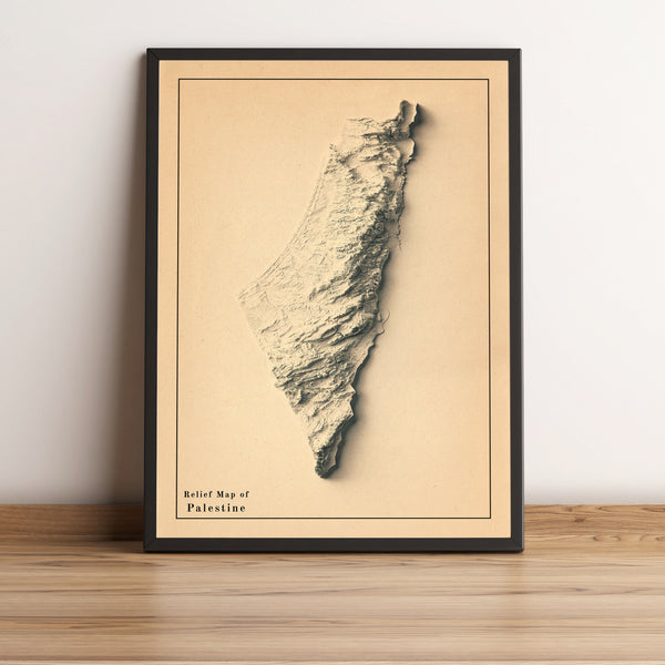 vintage shaded relief map of Palestine
