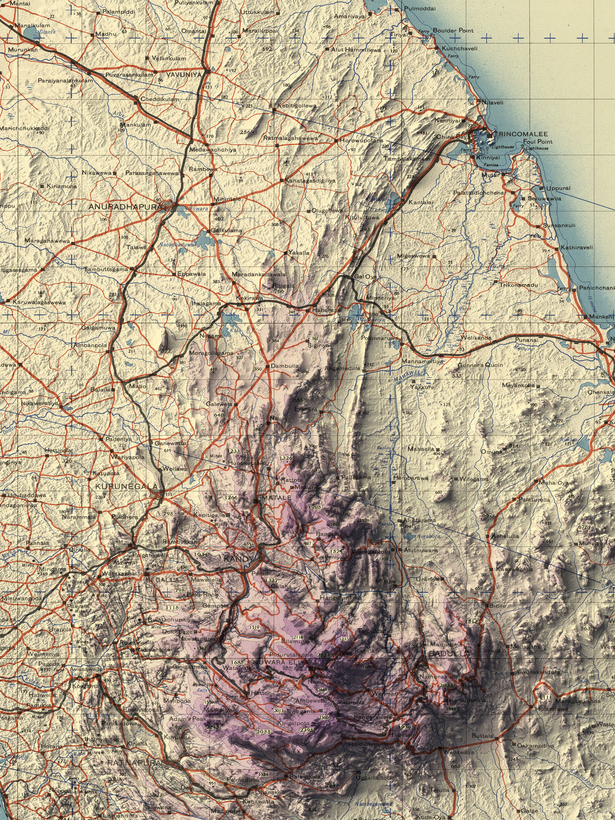 Detailed close-up of a vintage Sri Lanka relief map, showcasing textured topography and geographic contours