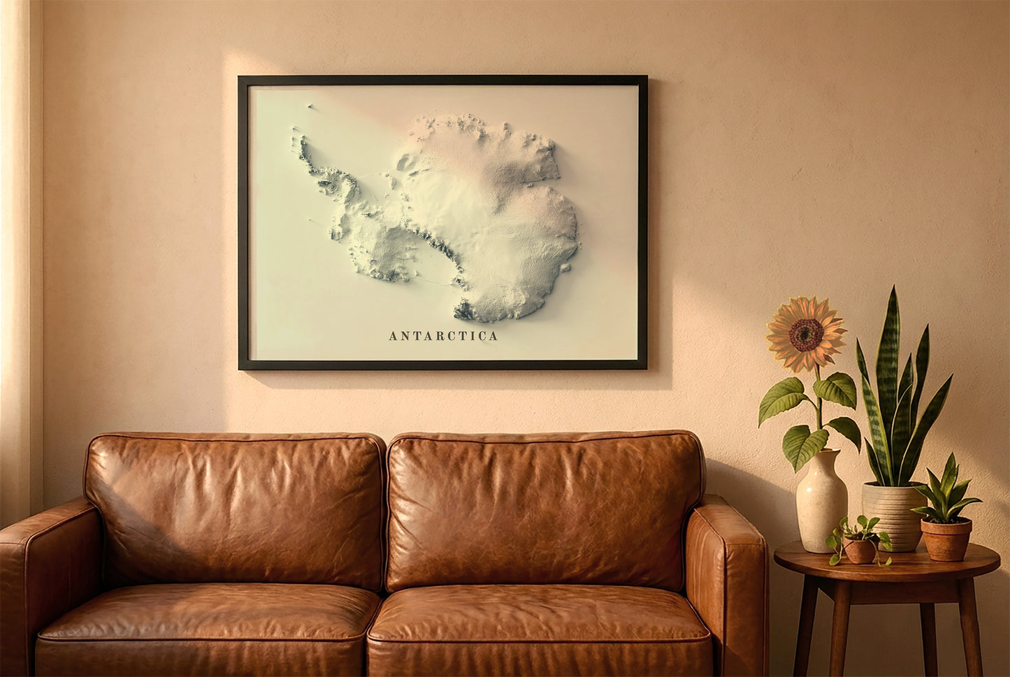 Antarctica relief map in a black frame above a brown leather sofa. Boho living room with warm sunlight, sunflower, and indoor plants on a wooden side table