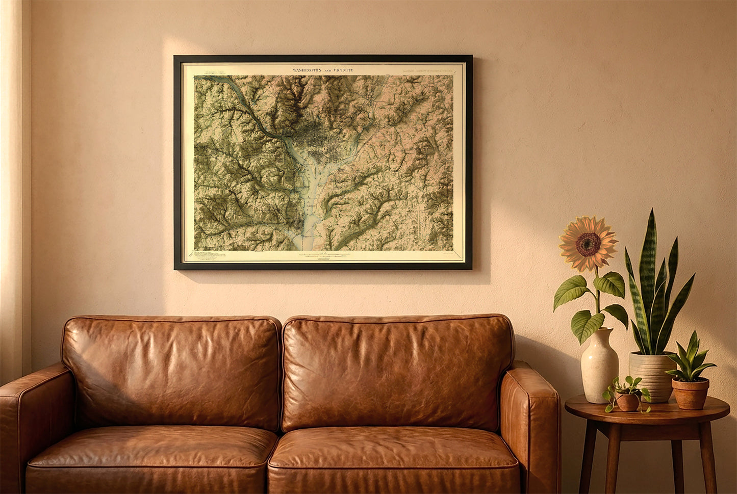 Washington DC vintage relief map in a black frame above a brown leather sofa. Boho living room with warm sunlight, sunflower, and indoor plants on a wooden side table