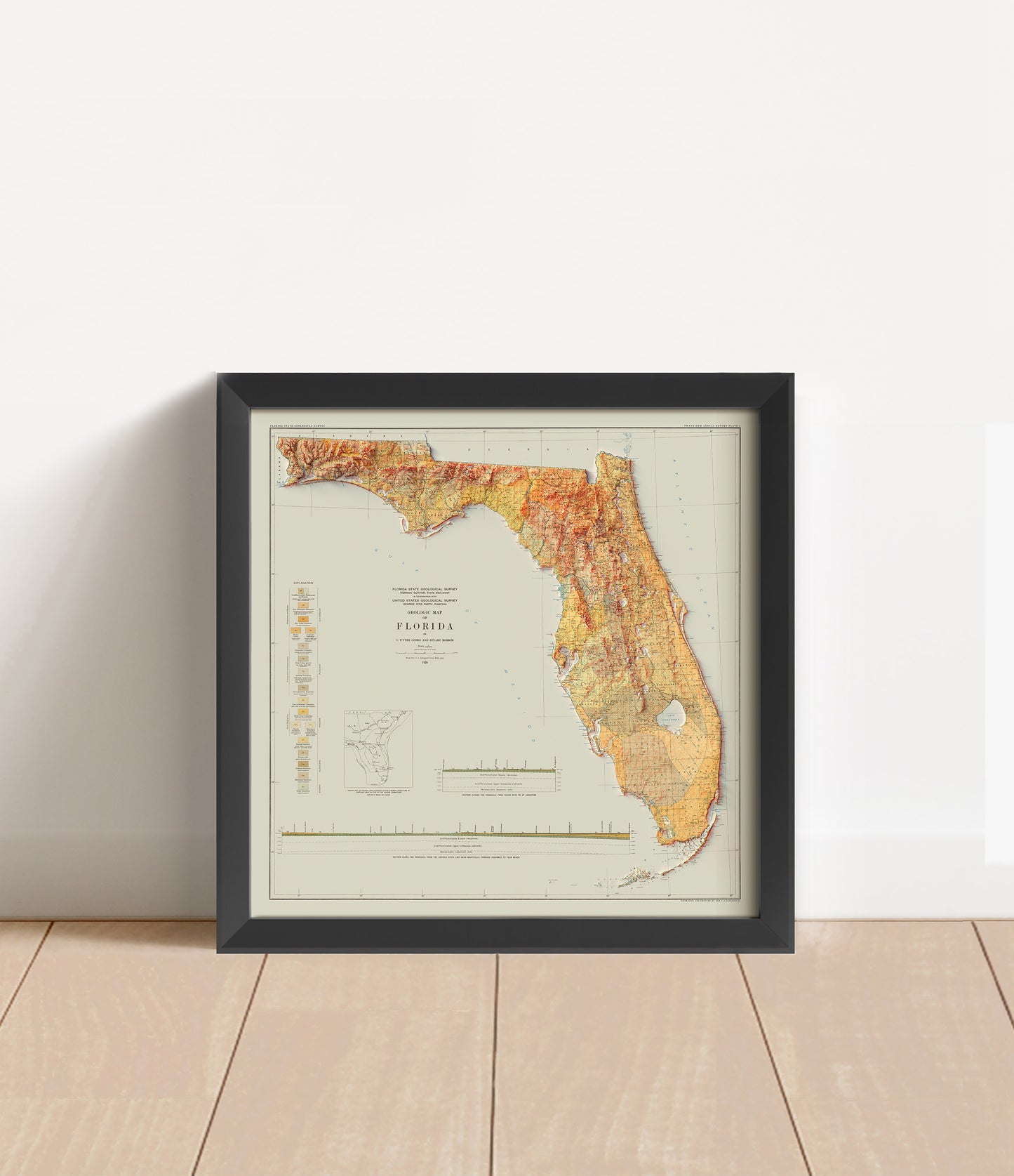 Vintage Florida shaded relief map in black frame. Artistic print with realistic terrain effect for wall decor