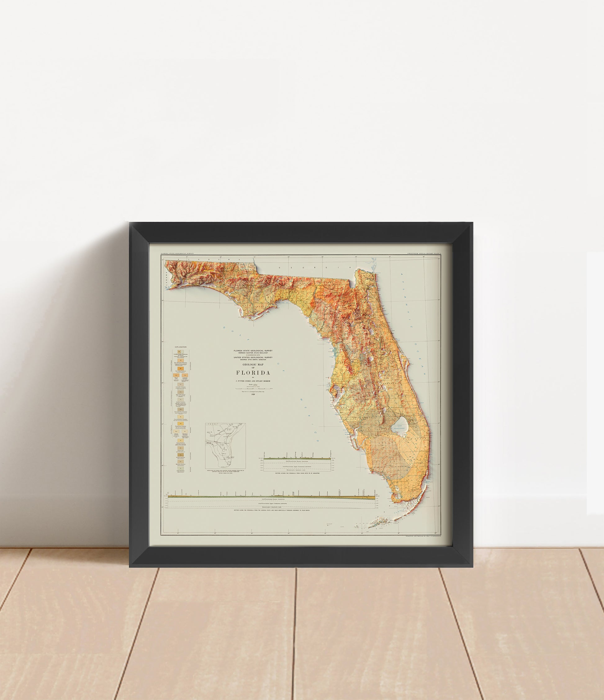 Vintage Florida shaded relief map in black frame. Artistic print with realistic terrain effect for wall decor