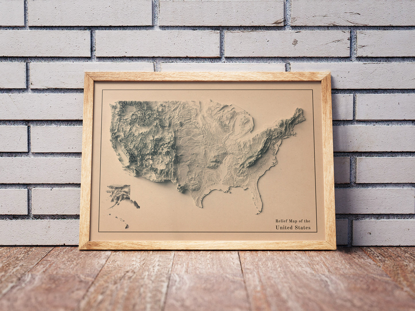 United States 2D Relief Map