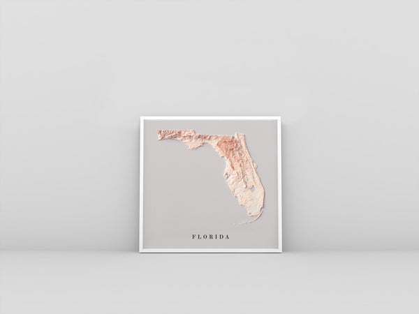shaded vintage relief map of Florida