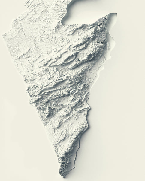 Israel 2D Relief Map
