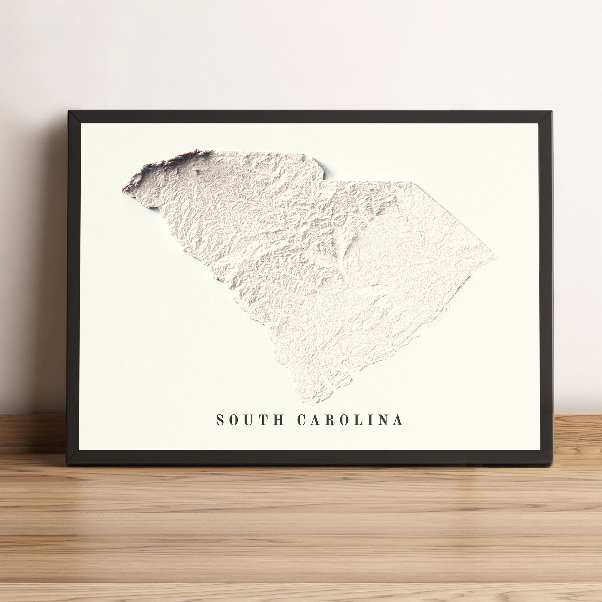 vintage shaded relief map of South Carolina