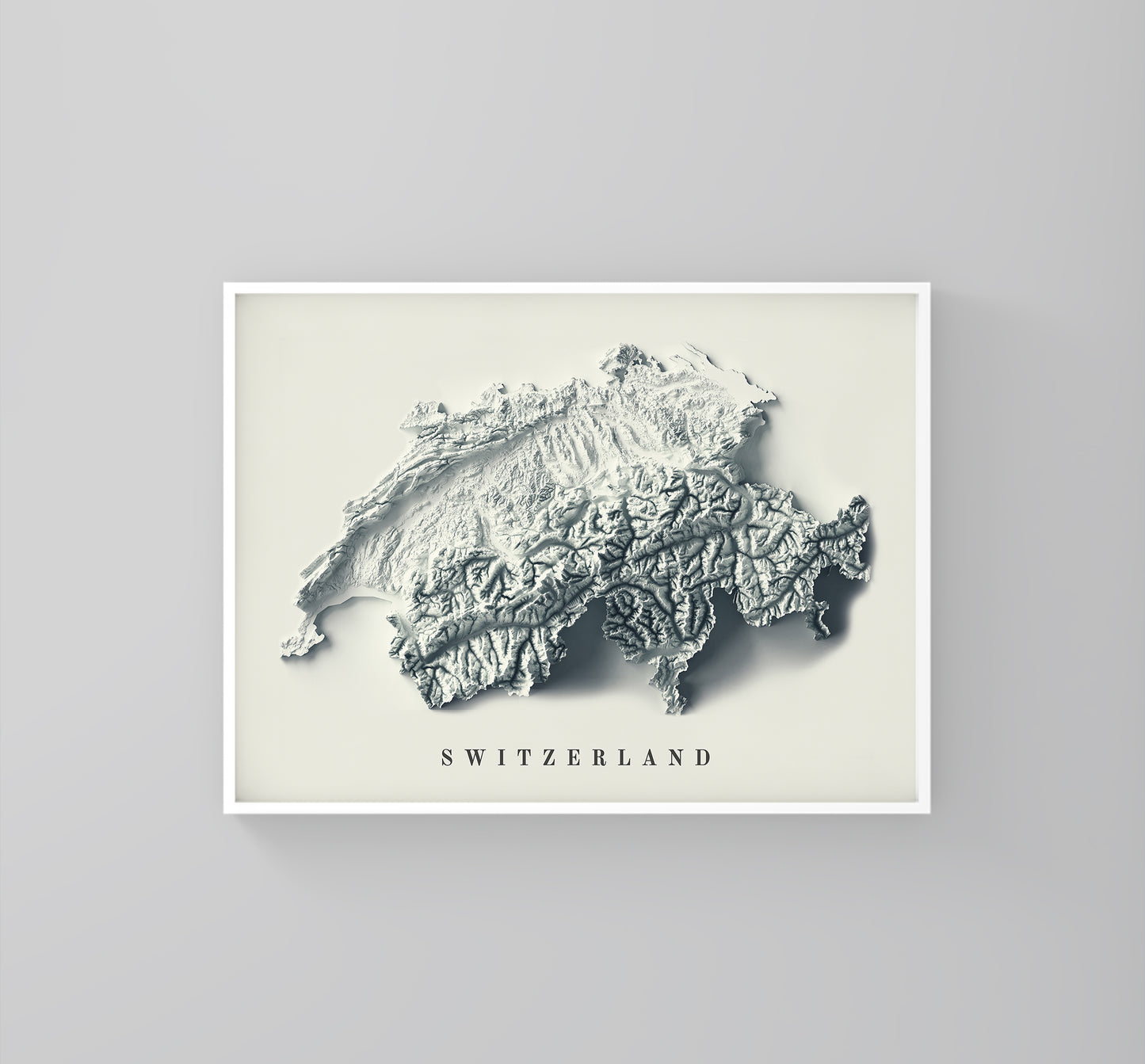 Switzerland 2D Relief Map