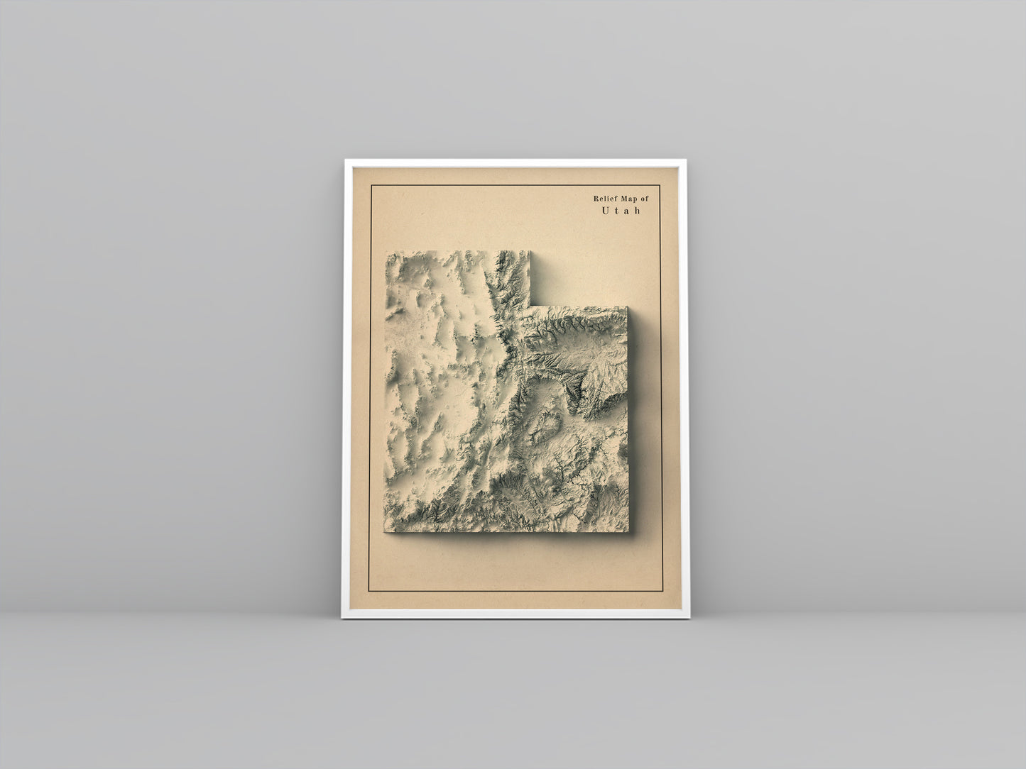 shaded vintage relief map of 