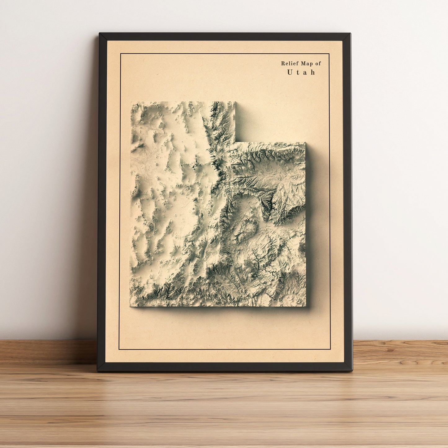 shaded vintage relief map of 