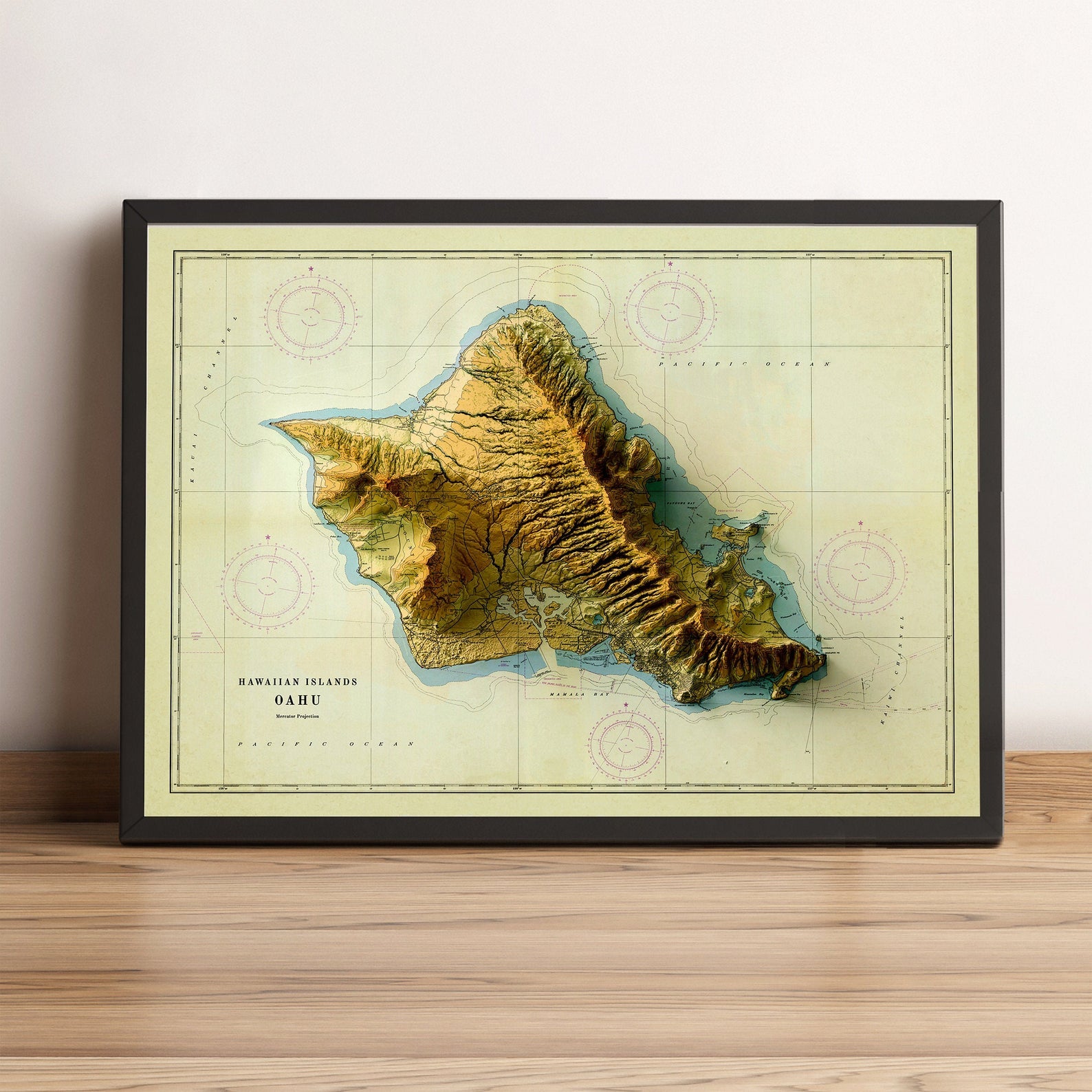 Image showing a vintage relief of the hawaiian island of Oahu