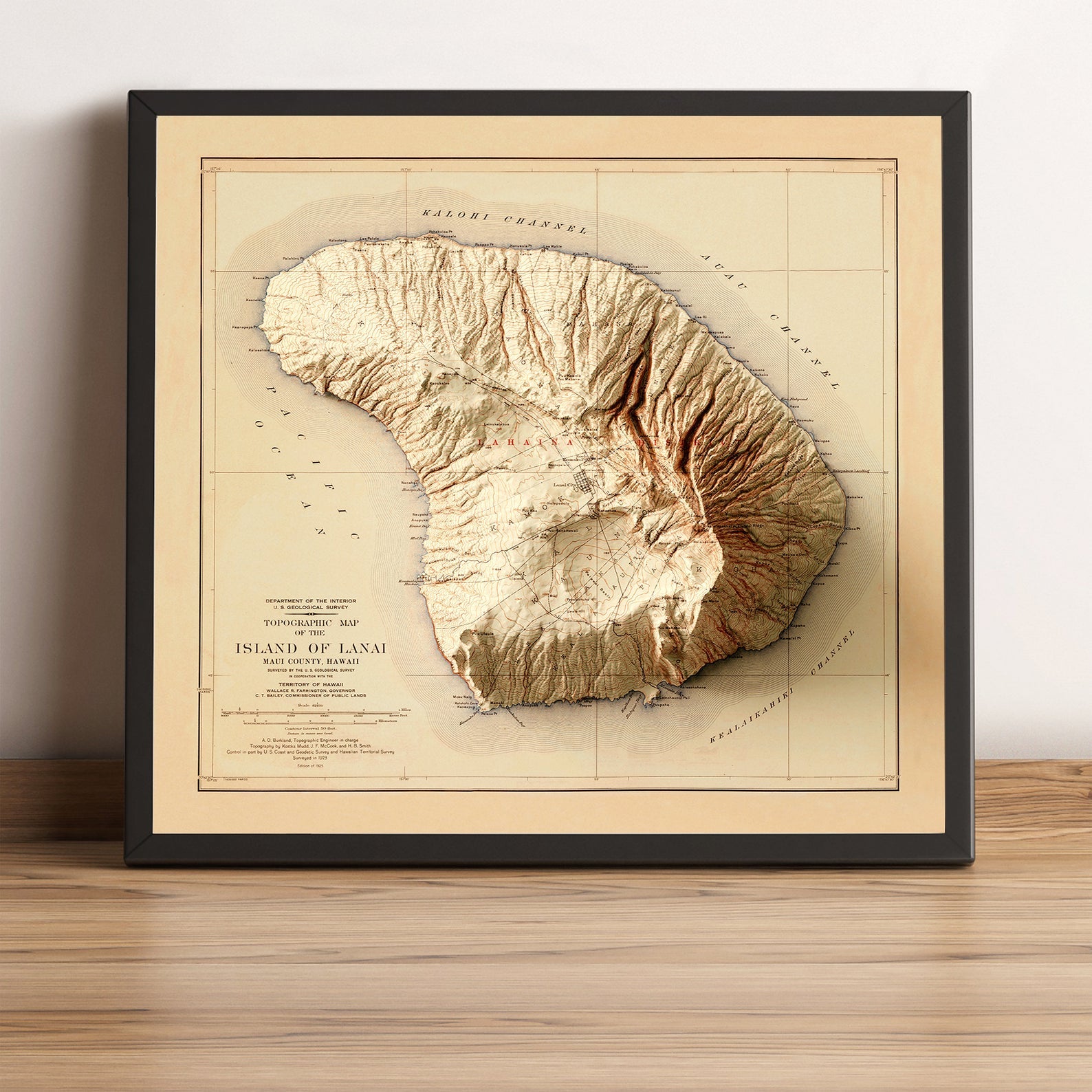 Image showing a vintage relief of the hawaiian island of Lanai